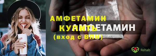амф Горняк