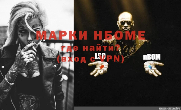 амф Горняк