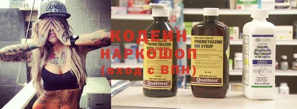 МДПВ Протвино