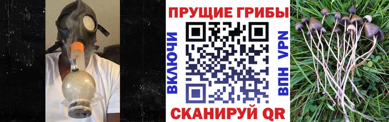Галлюциногенные грибы мухоморы Ершов