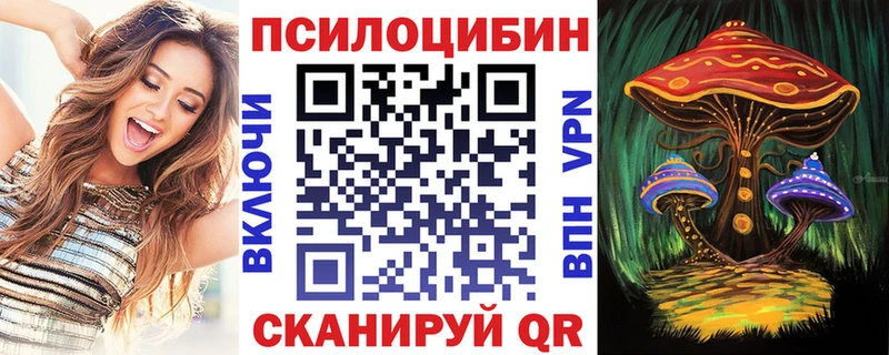 Галлюциногенные грибы GOLDEN TEACHER  shop как зайти  Ершов 