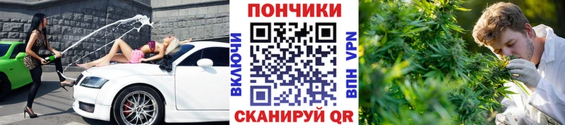 Канабис планчик  Ершов 